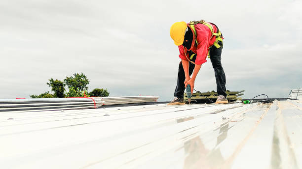 Best Metal Roofing Installation  in Lincoln, MT